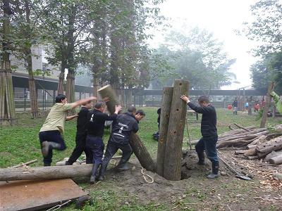 The building of the log wall, courtesy of Animals Asia