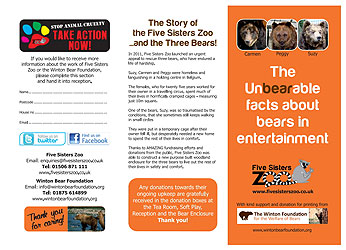 Flyer - Bears in Entertainment