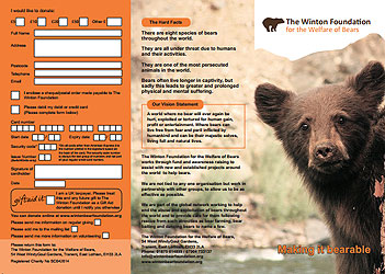 Flyer - Winton Bear Foundation