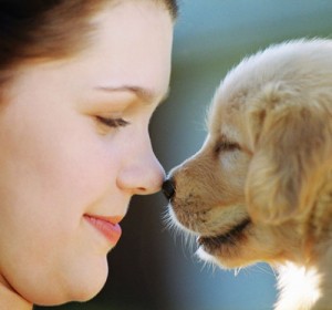 Girl and Puppy