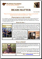 Bears Matter #2 - Jul 2011