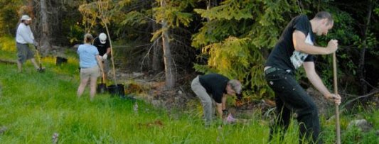 Planting Berry Trees, photo courtesy of Get Bear Smart