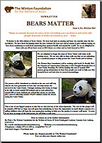 Bears Matter #5 - Dec 2012-Jan 2013