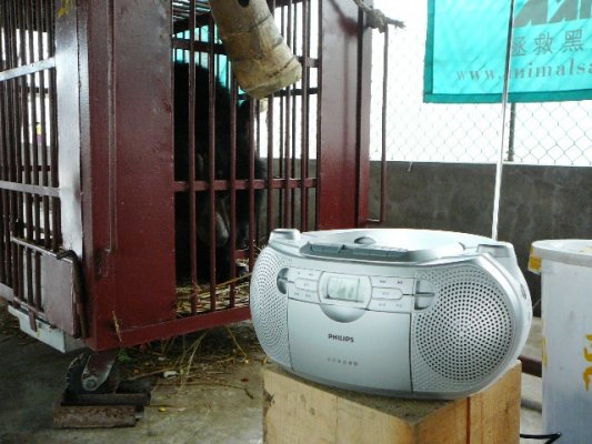 Xuan Xuan checks out new stereo