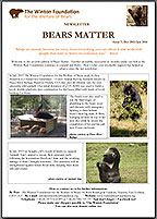 Bears Matter #7 - Dec 2013/Jan 2014