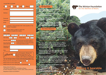 Flyer - Winton Bear Foundation