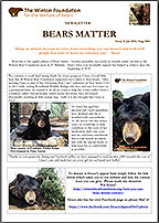 Bears Matter #8 - Jul/Aug 2014