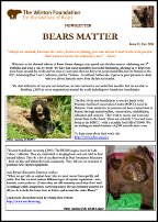 Bears Matter #11 - Dec 2015