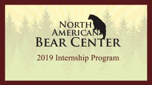 NABC Internship Program