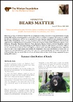 Bears Matter #17 - Winter 2019/2020