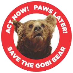 Save the Gobi Bear logo