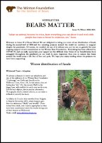 Bears Matter #19 – Winter 2020/2021